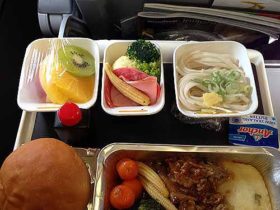 Lh ルフトハンザ航空 4 機内食ドットコム 機上の晩餐